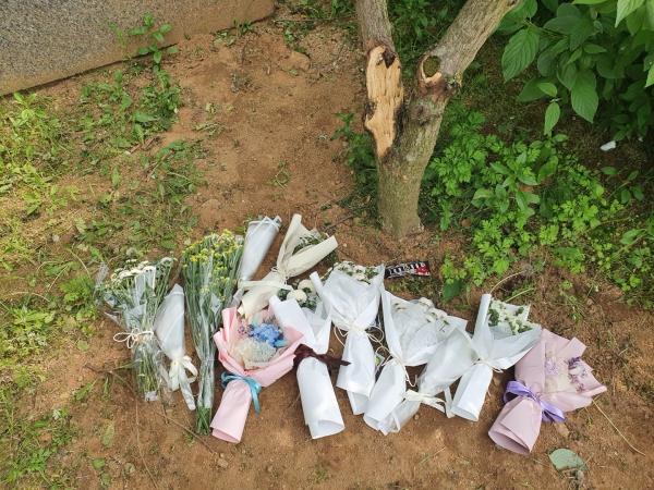 지난 12일 여중생 2명이 쓰러진 채 발견된 충북 청주시 청원구 한 아파트 단지 내 나무 밑에 이들의 죽음을 추모하는 꽃다발들이 놓여 있다. 2021.05.14. / 사진=뉴시스
