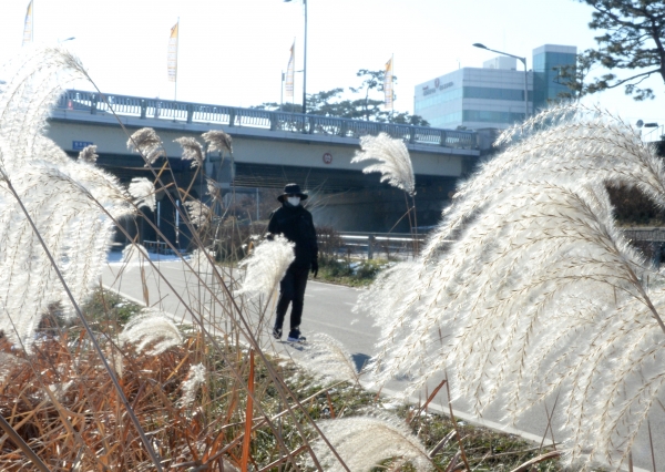 '한파 잠시 주춤' 무심천변 산책하는 청주 시민 / 사진=뉴시스